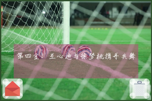 第四金！王心迪与徐梦桃携手共舞